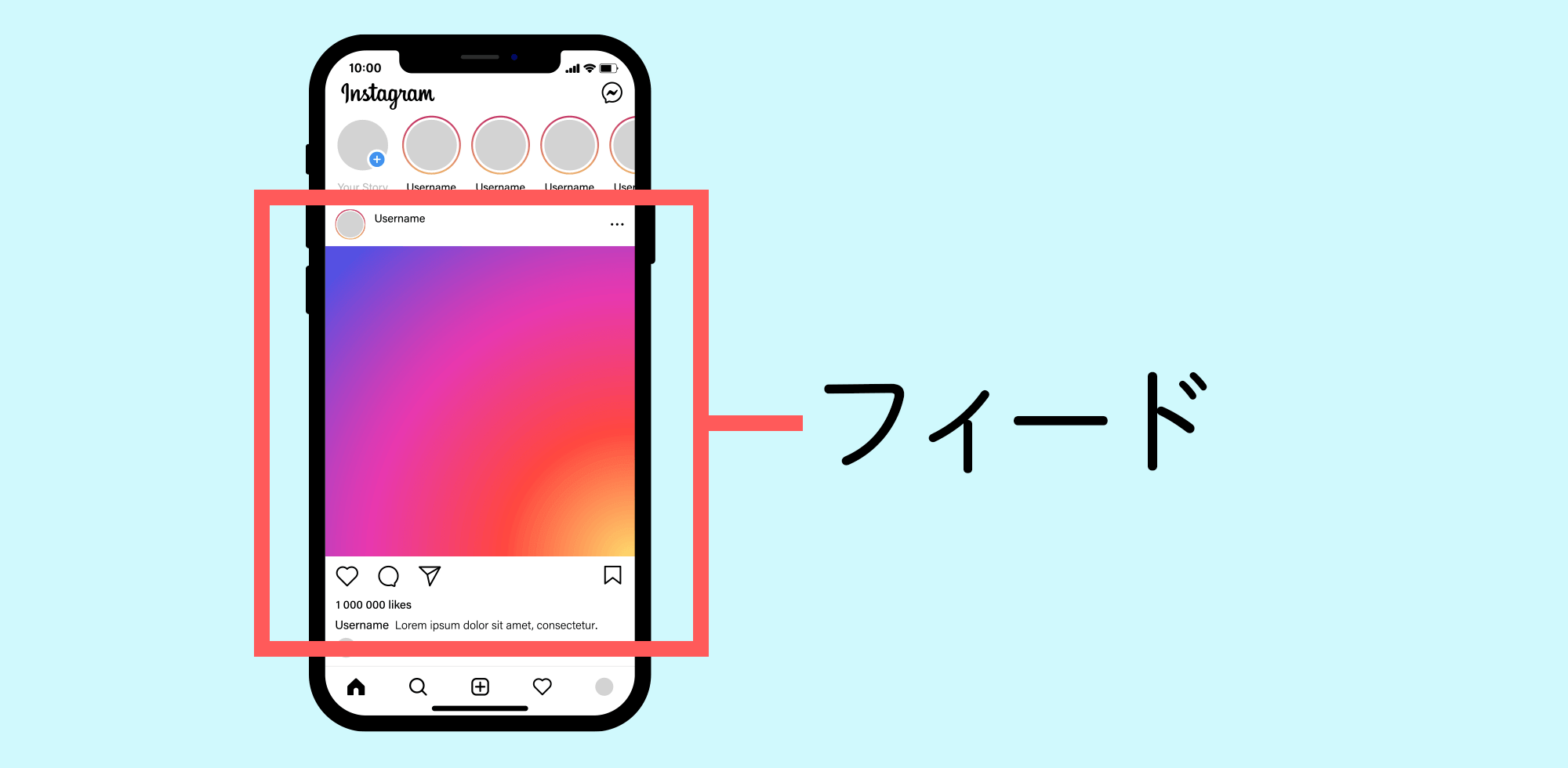 ①フィード